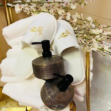 Thalia Venezia Accogliente Апартаменты Местре