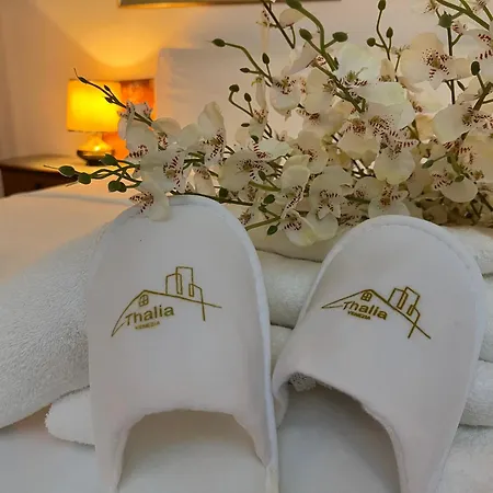 Thalia Venezia Accogliente Апартаменты *