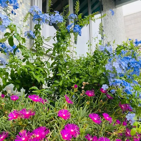 Апартаменты Thalia Venezia Accogliente *